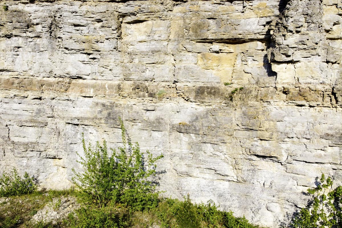 Muschelkalkwand