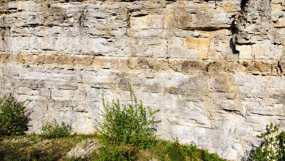 Muschelkalkwand