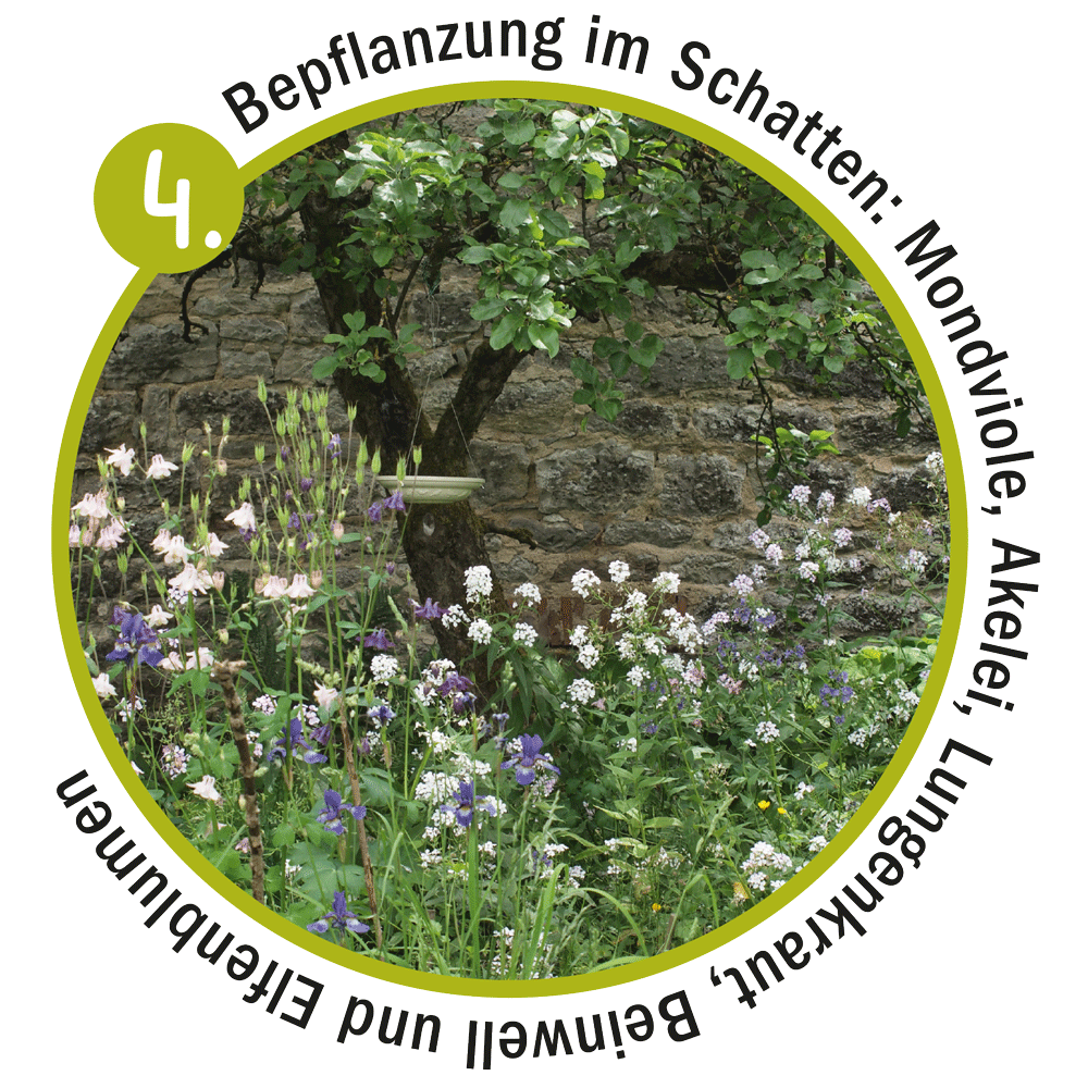 Insektenfreundlicher Garten