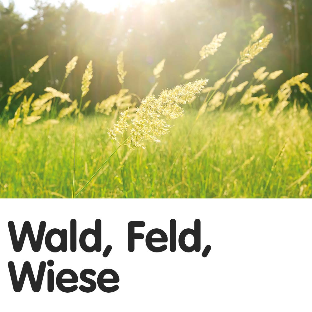 Wald, Feld, Wiese