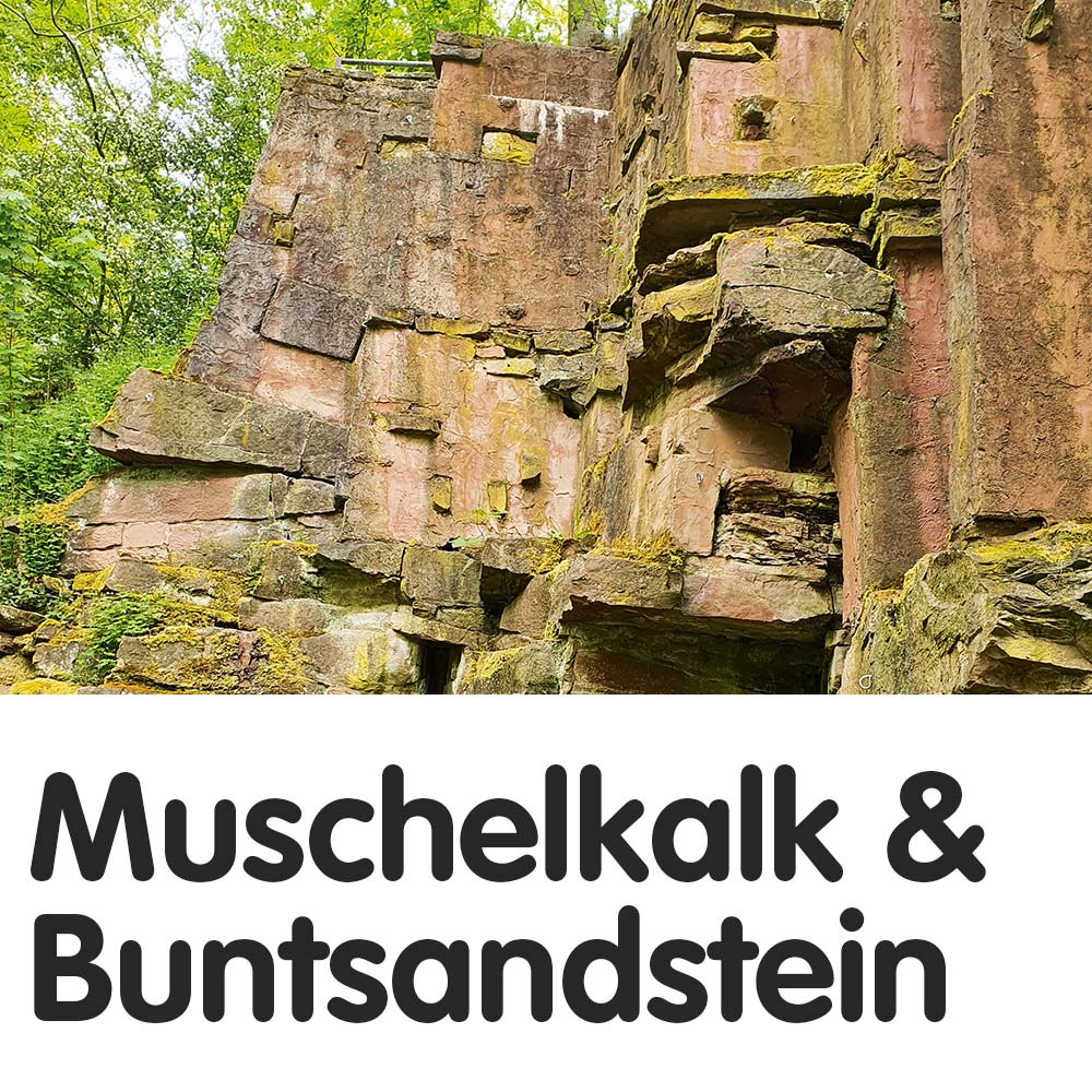 Muschelkalk & Buntsandstein Kachel