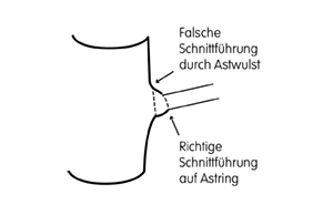 Wert&auml;stung Zeichnung