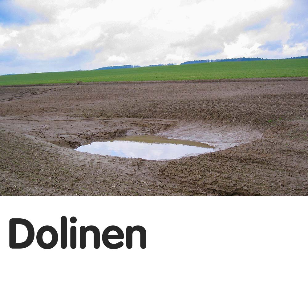 Dolinen