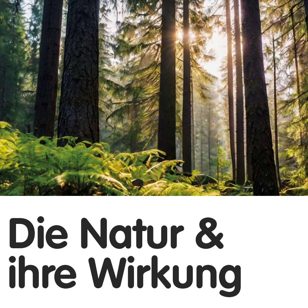 Die Natur und ihre Wirkung auf den Menschen Kachel