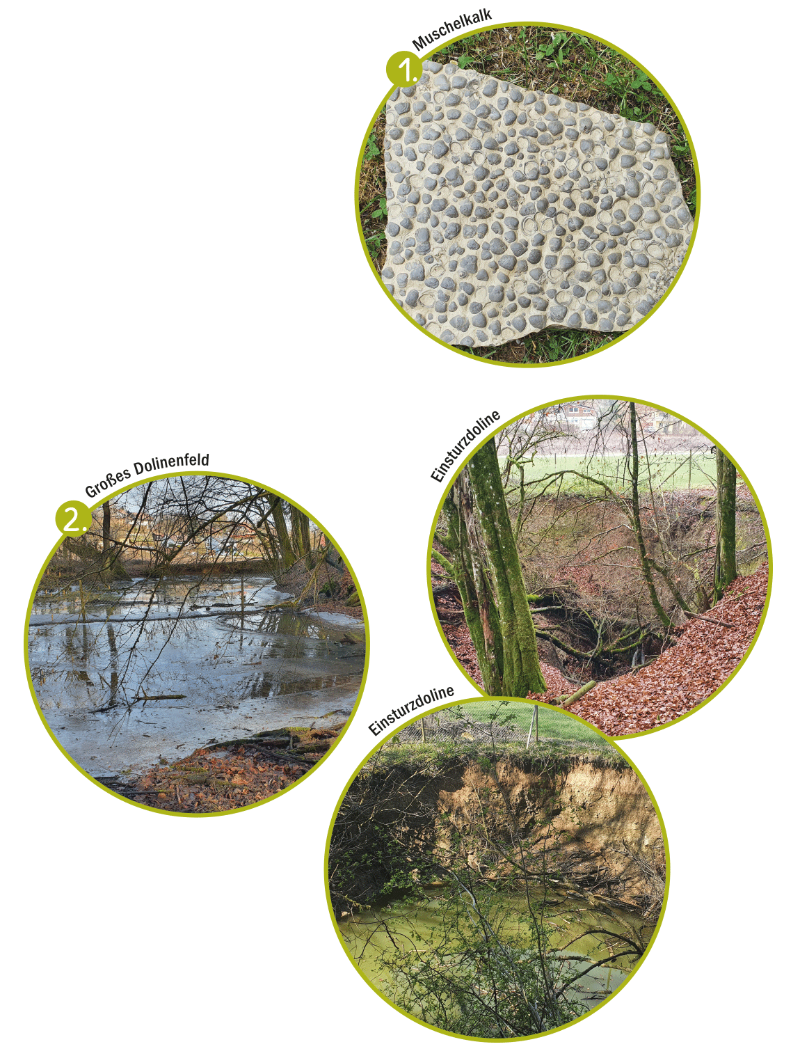 1 Muschelkalk 2 Dolinenfeld und Einsturzdolinen