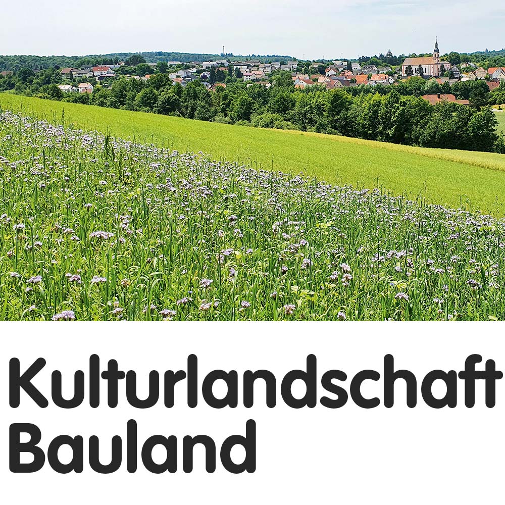 Kulturlandschaft Bauland