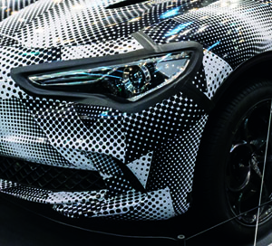 Erlk&ouml;nig Auto