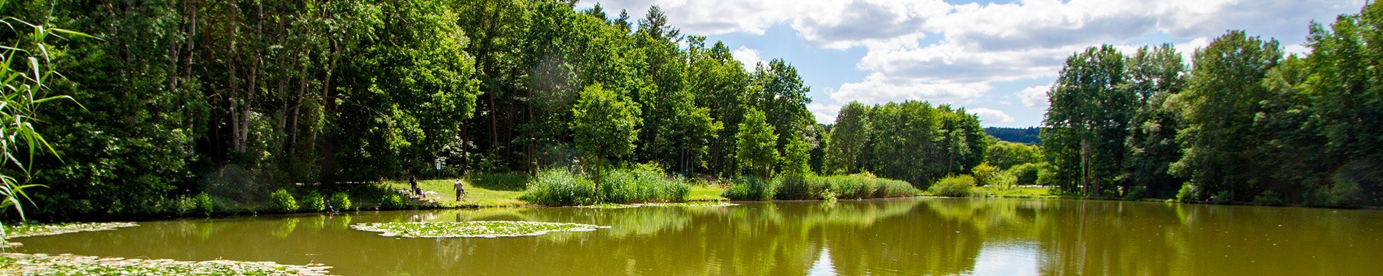 Hollersee in Buchen
