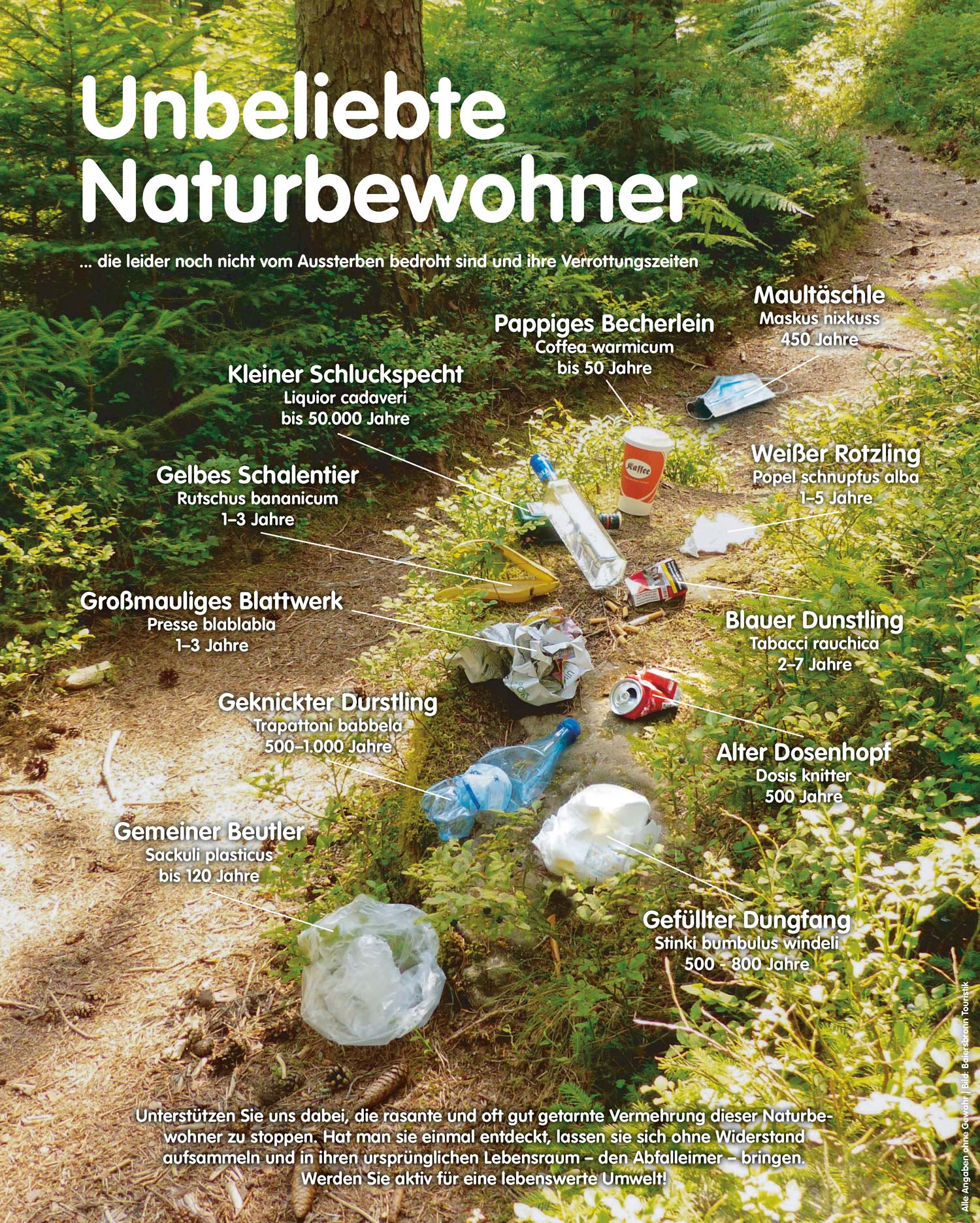 Müll auf dem Waldboden