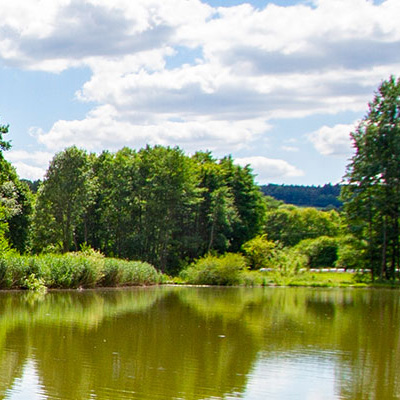 Der Hollersee
