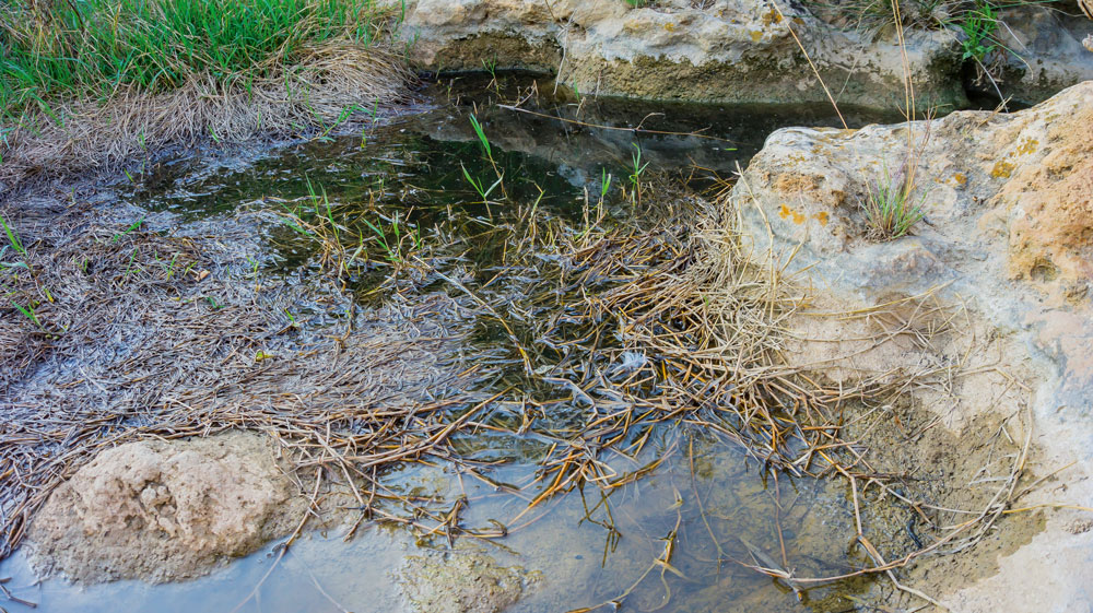 Wasserstelle