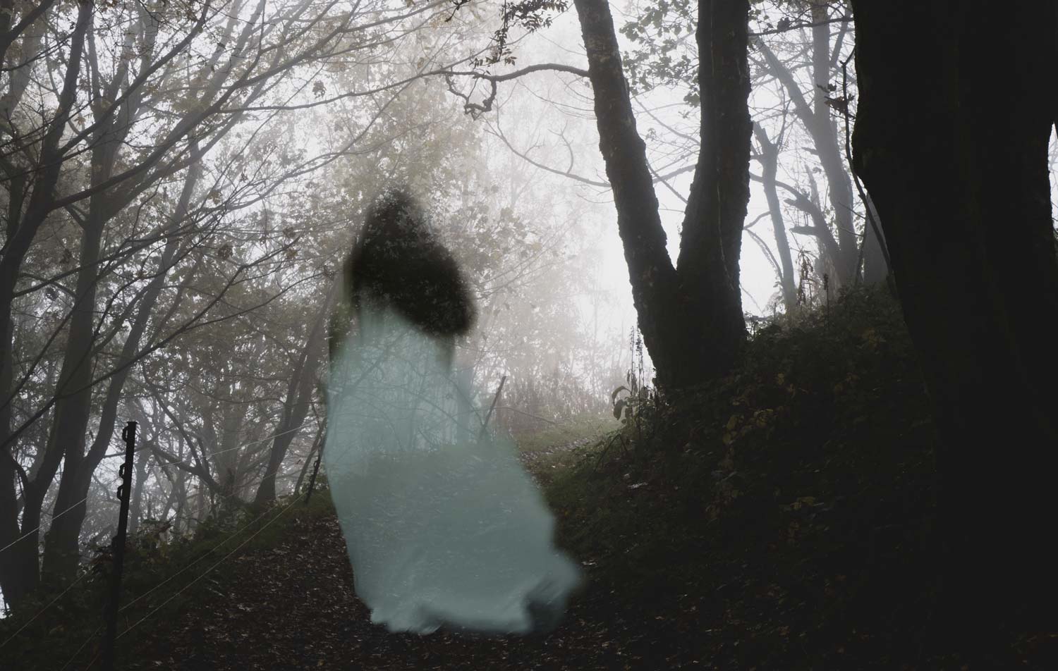 Weiße Frau und weitere Geschichten Weiße Frauen Gestalt im Wald